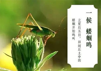 立夏三候是哪三候 立夏三候是什么意思