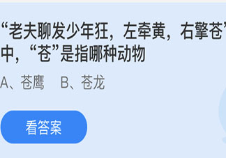 左牵黄右擎苍中苍是指哪种动物 最新蚂蚁庄园4月30日答案
