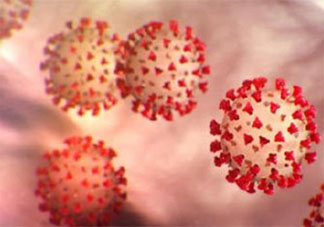 我国部分城市检出印度变异毒株 五一期间要做好哪些防护措施