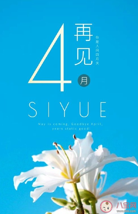 四月的最后一天励志早安说说 四月的最后一天早安正能量语录