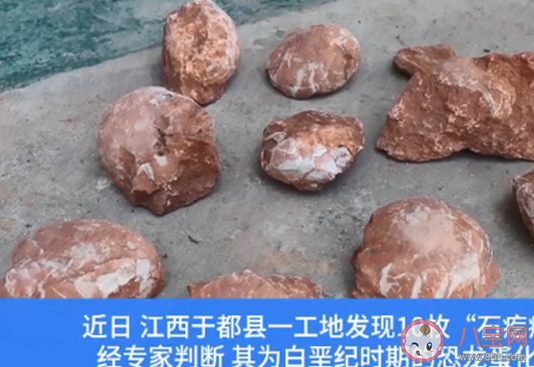 江西工地挖出6600万年前恐龙蛋化石 恐龙真的存在过吗