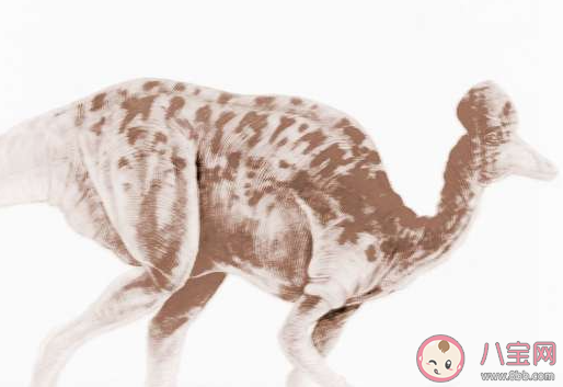 江西工地挖出6600万年前恐龙蛋化石 恐龙真的存在过吗