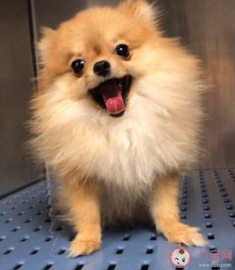 刚毕业的我vs现在的我对比 毕业后才懂的道理有哪些