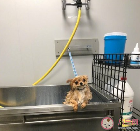 刚毕业的我vs现在的我对比 毕业后才懂的道理有哪些