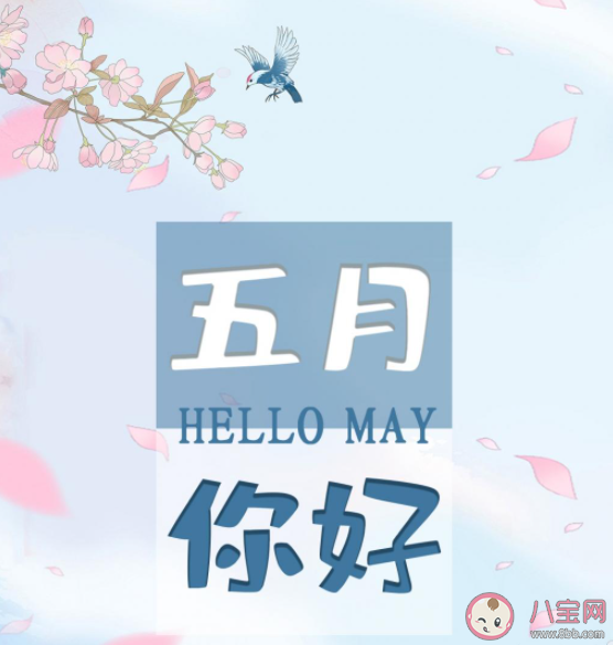 5月第一天朋友圈文案短句 5月第一天发朋友圈说说大全