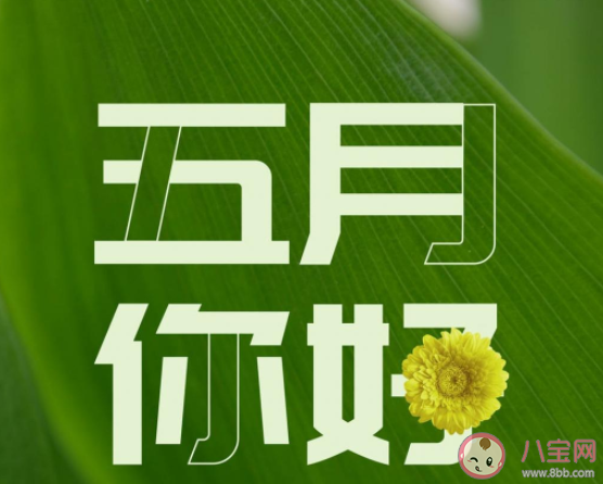 5月第一天朋友圈文案短句 5月第一天发朋友圈说说大全