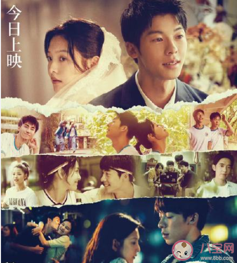 《你的婚礼》好不好看 《你的婚礼》值得看吗
