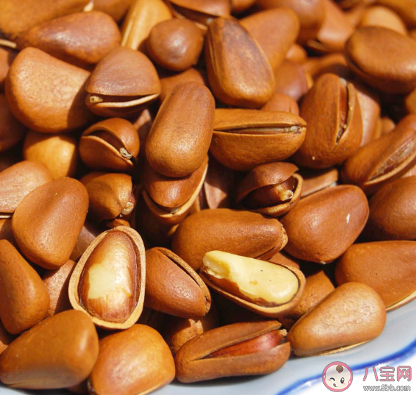 每天吃多少松子合适 ​吃松子有哪些健康功效
