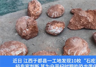 江西工地挖出6600万年前恐龙蛋化石 恐龙真的存在过吗