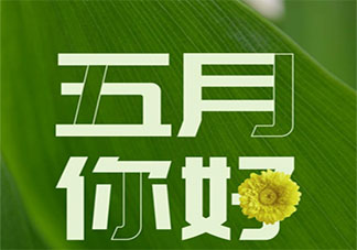 5月第一天朋友圈文案短句 5月第一天发朋友圈说说大全