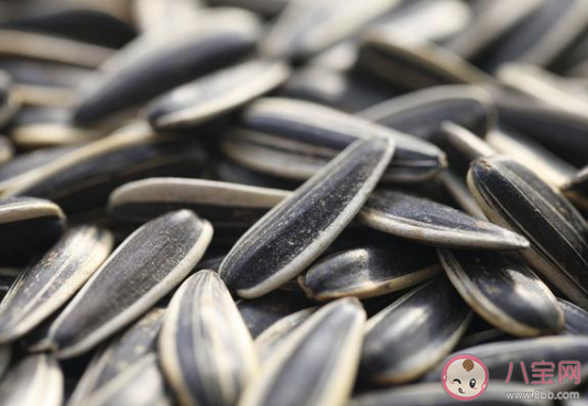 吃瓜子相当于喝油这个说法 最新蚂蚁庄园5月6日答案