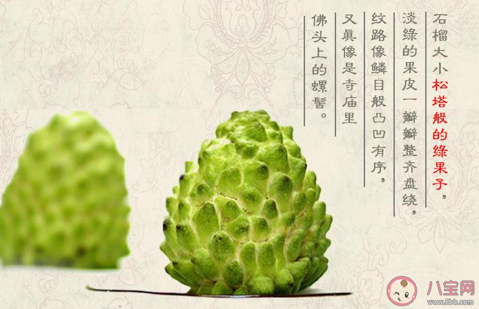 释迦果可以和莲雾一起吃吗 释迦果和莲雾果哪个更好吃