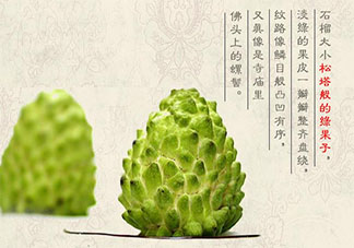 释迦果可以和莲雾一起吃吗 释迦果和莲雾果哪个更好吃