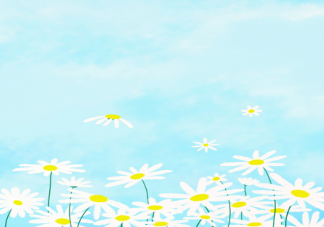 夏天来了唯美心情文案句子 夏天来了简短文案说说句子