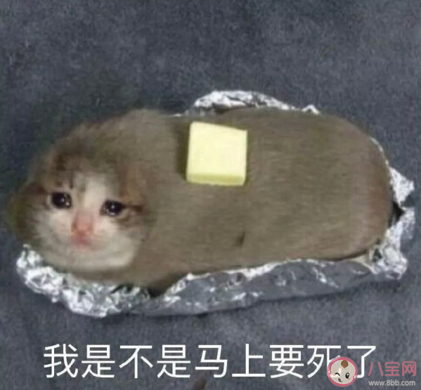 早上被吵醒的心情说说 早上被吵醒的心情句子