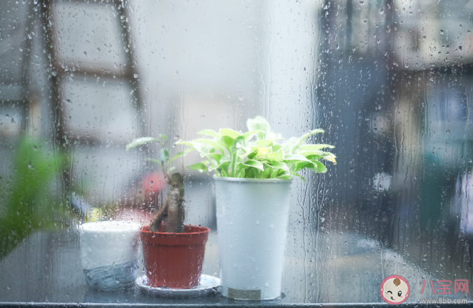 被雨声吵醒的朋友圈说说 被雨声吵醒发朋友圈文案句子