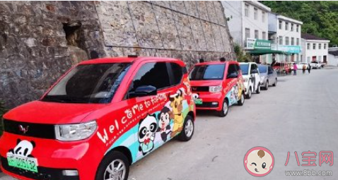 袖珍小县仅有9辆出租车没有红绿灯 袖珍小县是哪个县城