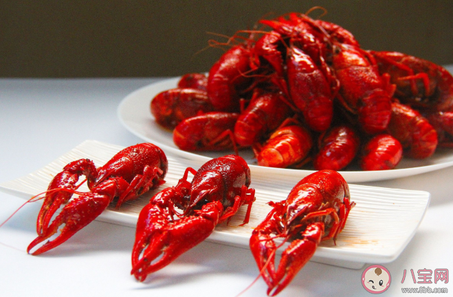 小龙虾怎么判断公母 小龙虾公的好还是母的好吃 小龙虾怎么判断公母 小龙虾公的好还是母的好吃