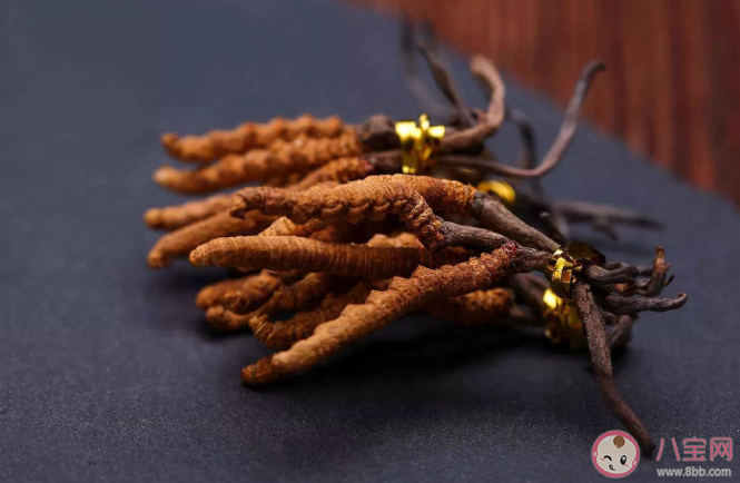 冬虫夏草个头越大越好吗 冬虫夏草质量好坏的区别 冬虫夏草个头越大越好吗 冬虫夏草质量好坏的区别