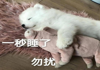 早上被吵醒的心情说说 早上被吵醒的心情句子