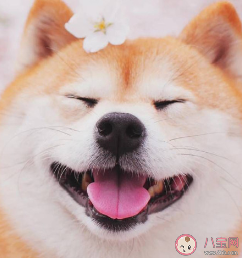 2021世界微笑日文案最新 2021世界微笑日文案大全