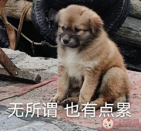 公司该不该把团建当福利 怎么看待团建占用休息日