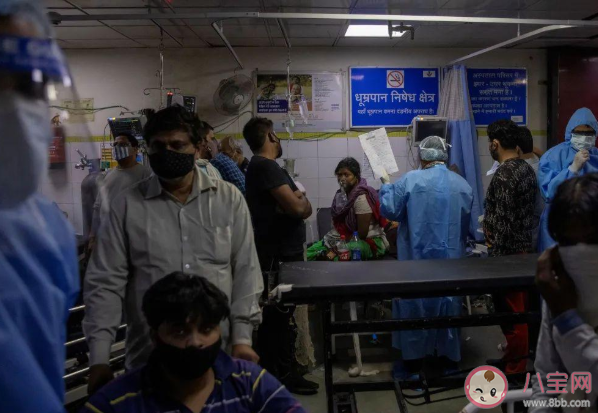 李兰娟回应印度疫情是否会波及中国 印度疫情已经达到峰值了吗