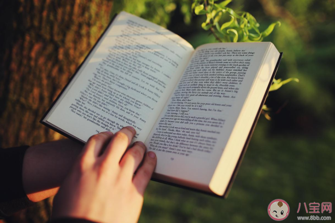 看书和读书有什么区别 看书和读书哪个效率更高