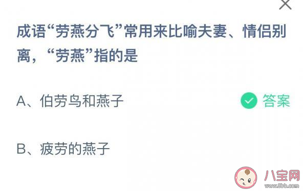 成语劳燕分飞中劳燕指的是什么 蚂蚁庄园5月10日答案