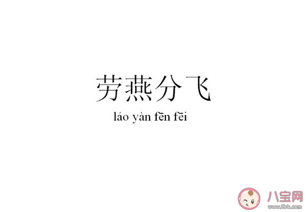 成语劳燕分飞中劳燕指的是什么 蚂蚁庄园5月10日答案