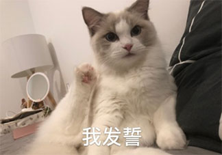 你绝不会告诉别人的小心机 哪些小心机你不会和别人说