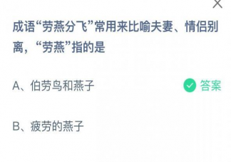 成语劳燕分飞中劳燕指的是什么 蚂蚁庄园5月10日答案