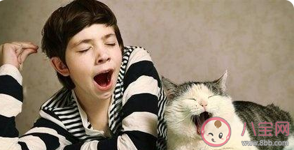 蚂蚁庄园打哈欠真的会传染吗 小课堂5月11日答案