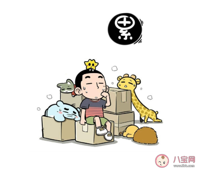 搬家时如何整理打包东西 搬家必看攻略指南