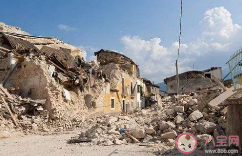 在避震自救瞬间人们的首先选择是 蚂蚁庄园5月12日答案 在避震自救瞬间人们的首先选择是 蚂蚁庄园5月12日答案