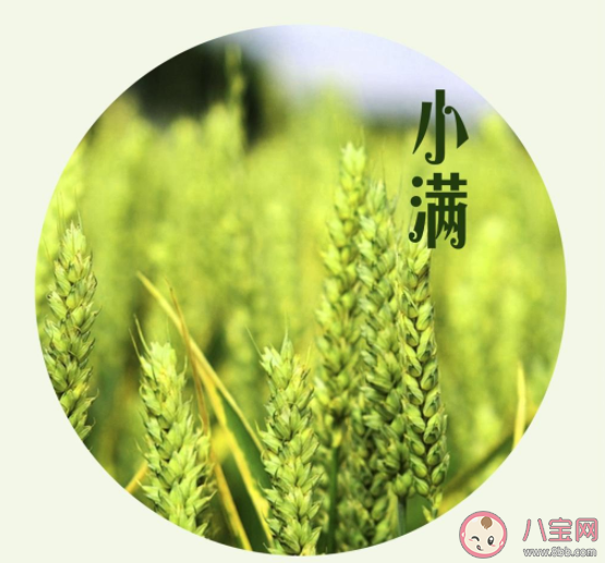 2021小满节气经典祝福语发朋友圈 2021小满节气一句话问候语说说