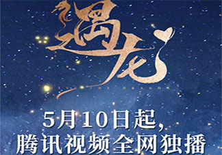 《遇龙》追剧日历 《遇龙》一周看几集