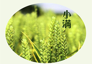 2021小满节气经典祝福语发朋友圈 2021小满节气一句话问候语说说