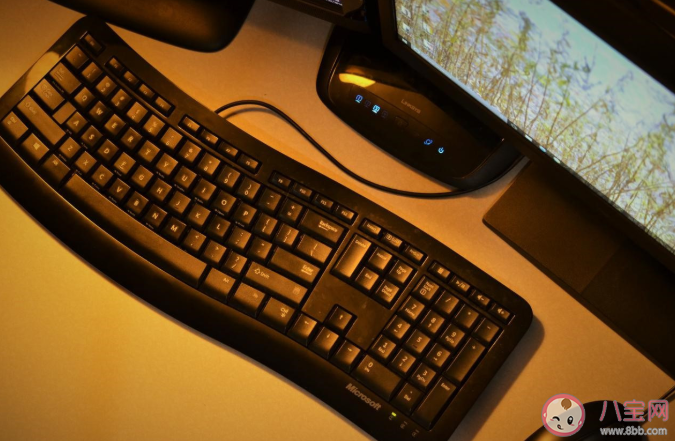 电脑键盘为什么不按字母顺序排列 蚂蚁庄园5月13日答案最新