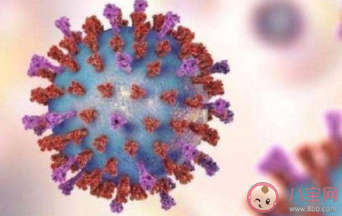 巴西已检出110种变异新冠病毒毒株 新冠病毒为什么一直在变异