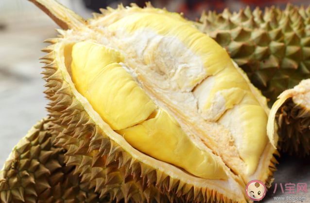 怎么买到肉多好吃的榴莲 买回来的榴莲不太熟怎么办