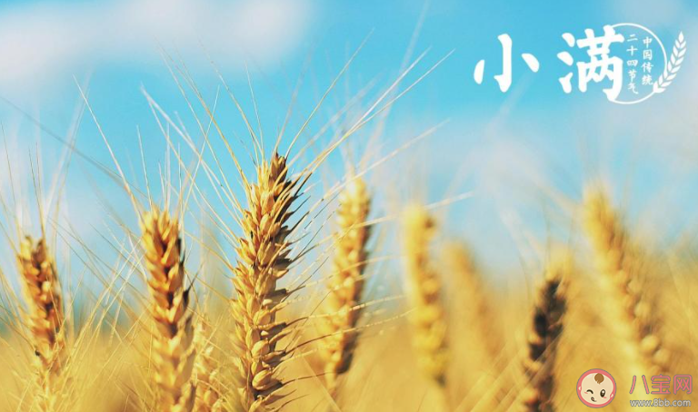 2021小满早安心语图片文案说说 2021小满节气带字图片早安语录