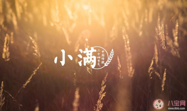 2021小满早安心语图片文案说说 2021小满节气带字图片早安语录