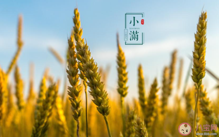 2021小满早安心语图片文案说说 2021小满节气带字图片早安语录