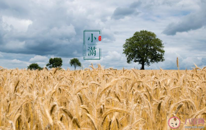 2021小满早安心语图片文案说说 2021小满节气带字图片早安语录