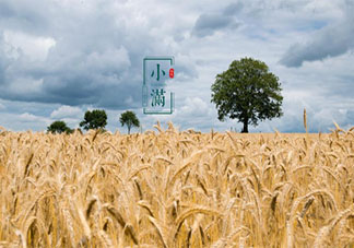 2021小满早安心语图片文案说说 2021小满节气带字图片早安语录