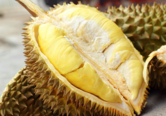 怎么买到肉多好吃的榴莲 买回来的榴莲不太熟怎么办