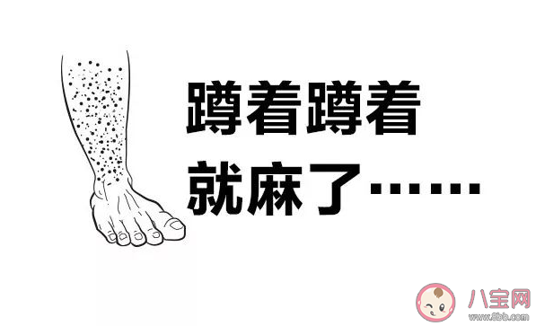 为什么蹲的时间久了腿容易麻 蚂蚁庄园5月14日答案最新