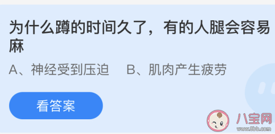 蹲的时间久了腿会容易麻是为什么 最新蚂蚁庄园5月14日答案