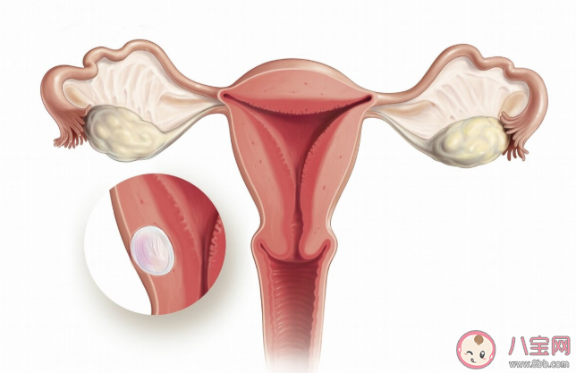 子宫内膜厚度影响怀孕吗 子宫内膜厚度多少适合受孕 子宫内膜厚度影响怀孕吗 子宫内膜厚度多少适合受孕